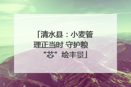 清水县：小麦管理正当时 守护粮“芯”绘丰景